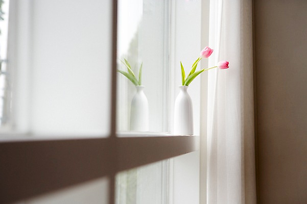 포토 JPG 꽃 스튜디오 실내 사람없음 장식 인테리어 꽃병 튤립 창가 오브젝트 스타일링 국내포토 식물 디자인 창문 내부 파일형식