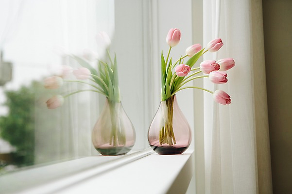 포토 JPG 꽃 스튜디오 실내 사람없음 장식 인테리어 꽃병 튤립 오브젝트 스타일링 국내포토 식물 디자인 내부 파일형식