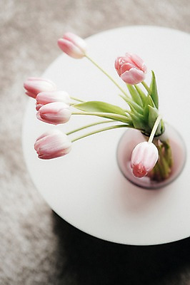 포토 JPG 꽃 스튜디오 실내 사람없음 장식 인테리어 하이앵글 꽃병 튤립 오브젝트 빨래바구니 스타일링 국내포토 식물 디자인 뷰포인트 내부 바구니 빨래 파일형식