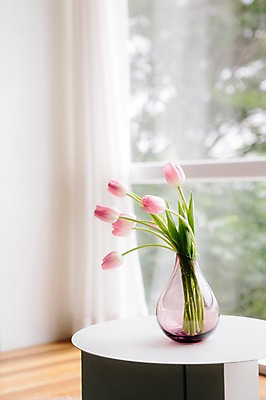 포토 JPG 꽃 스튜디오 실내 사람없음 장식 인테리어 꽃병 튤립 오브젝트 스타일링 국내포토 식물 디자인 내부 파일형식