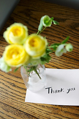 포토 JPG 꽃 스튜디오 실내 사람없음 아웃포커스 장식 인테리어 꽃병 감사카드 오브젝트 감사 스타일링 카탈리나 국내포토 식물 디자인 감정 카드_감사 촬영기법 내부 파일형식