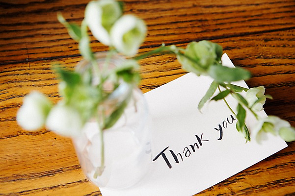 포토 JPG 꽃 스튜디오 실내 사람없음 아웃포커스 장식 인테리어 꽃병 감사카드 오브젝트 감사 스타일링 헬레보루스 국내포토 식물 디자인 감정 카드_감사 촬영기법 내부 파일형식