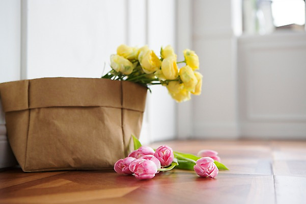 포토 JPG 꽃 스튜디오 바닥 실내 사람없음 장식 인테리어 튤립 오브젝트 스타일링 카탈리나 국내포토 식물 디자인 내부 파일형식