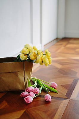 포토 JPG 꽃 스튜디오 바닥 실내 사람없음 장식 인테리어 튤립 오브젝트 스타일링 카탈리나 국내포토 식물 디자인 내부 파일형식