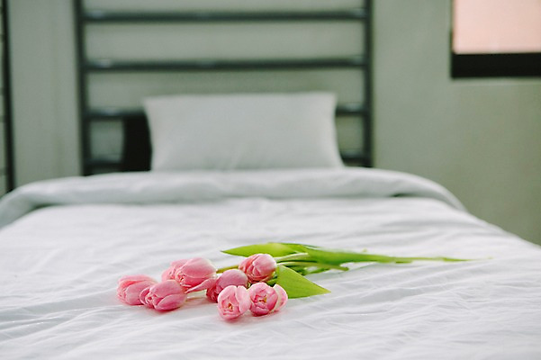 포토 JPG 꽃 스튜디오 실내 사람없음 아웃포커스 장식 인테리어 튤립 침대 오브젝트 스타일링 국내포토 식물 디자인 가구 촬영기법 내부 파일형식