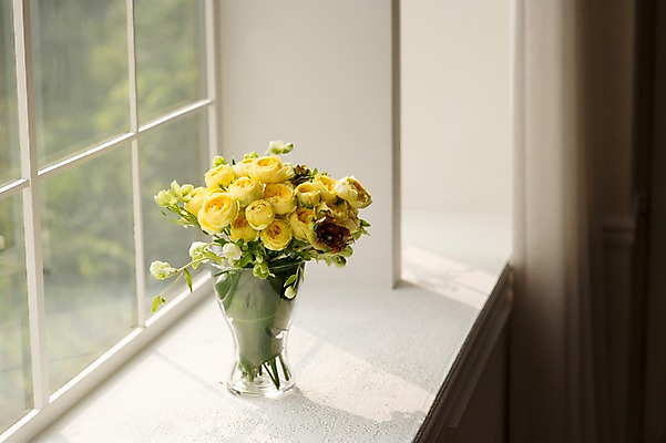 포토 JPG 꽃 창문 스튜디오 실내 사람없음 장식 인테리어 꽃병 오브젝트 스타일링 작약 카탈리나 국내포토 식물 디자인 내부 파일형식