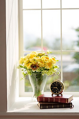 포토 JPG 꽃 스튜디오 실내 사람없음 장식 책 인테리어 꽃병 창가 오브젝트 탁상시계 스타일링 카탈리나 국내포토 식물 디자인 시계 창문 내부 파일형식