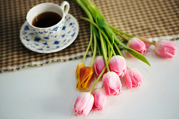 포토 JPG 꽃 커피 스튜디오 실내 사람없음 장식 인테리어 튤립 커피잔 오브젝트 스타일링 국내포토 식물 디자인 음료 잔 내부 파일형식