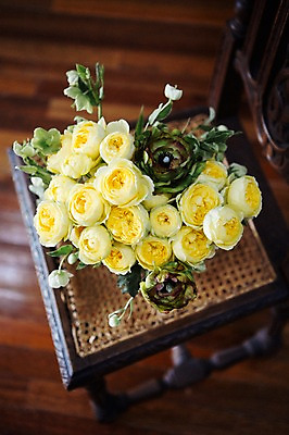 포토 JPG 꽃 의자 스튜디오 실내 사람없음 장식 인테리어 오브젝트 스타일링 카탈리나 국내포토 식물 디자인 가구 내부 파일형식