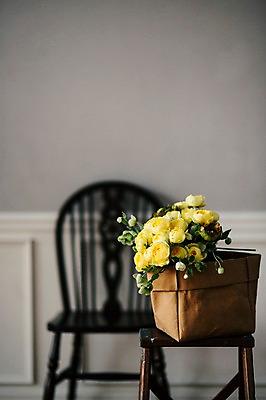 포토 JPG 꽃 의자 스튜디오 실내 사람없음 장식 인테리어 오브젝트 스타일링 카탈리나 국내포토 식물 디자인 가구 내부 파일형식