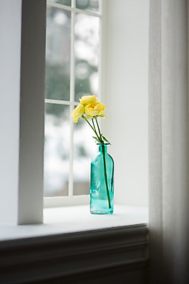 포토 JPG 꽃 스튜디오 실내 사람없음 장식 인테리어 꽃병 창가 오브젝트 스타일링 카탈리나 국내포토 식물 디자인 창문 내부 파일형식