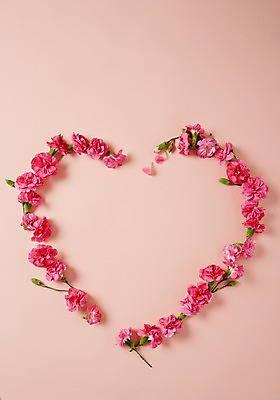 포토 JPG 꽃 스튜디오 프레임 실내 사람없음 하트 카네이션 꽃프레임 스타일링 국내포토 모양 식물 내부 파일형식