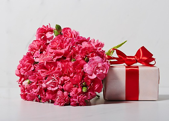 포토 JPG 꽃 스튜디오 실내 사람없음 선물상자 카네이션 스타일링 국내포토 식물 선물 내부 상자 파일형식