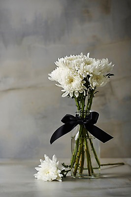 포토 JPG 스튜디오촬영 꽃 리본 국화 실내 사람없음 꽃병 근조 국내포토 식물 내부 파일형식