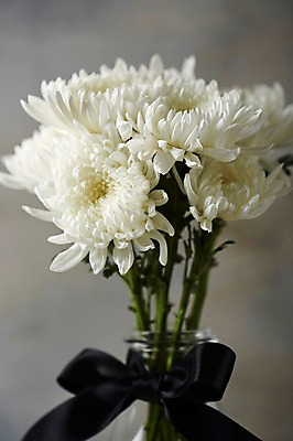 포토 JPG 스튜디오촬영 꽃 리본 국화 실내 사람없음 아웃포커스 꽃병 근조 국내포토 식물 촬영기법 내부 파일형식