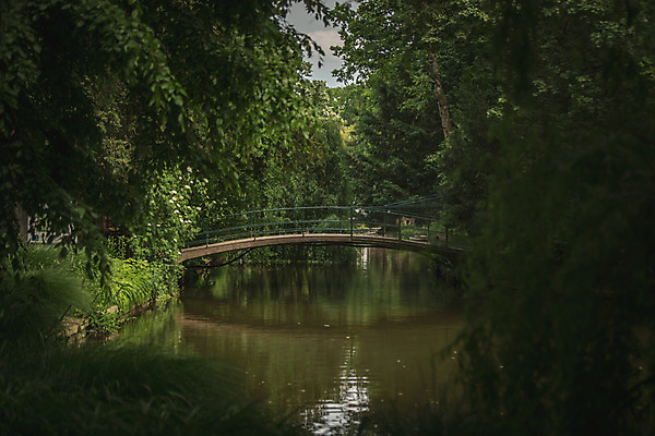 포토 JPG 주간 나무 자연 사람없음 야외 30대 강 숲속 크로아티아 가교 막시미르공원 국내포토 자연요소 식물 건축물 공원 유럽 장년 숲 생태계 파일형식