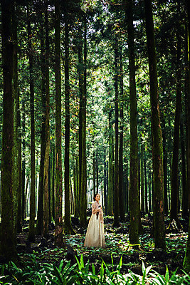 JPG 주간 전신 나무 편집이미지 전통 여자 한명 20대 성인 야외 옆모습 한국인 역사 숲속 한복 디지털아트 성인여자한명만 사극 편집실사 자연요소 식물 1 한국전통 뷰포인트 사람 동양인 청년 숲 전통의상 CG 여자한명만 성인여자만 파일형식