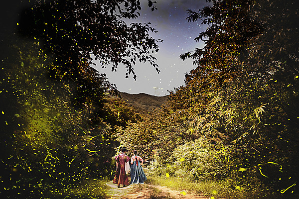 JPG 편집이미지 전통 커플 여자 남자 밤하늘 20대 성인 두명 뒷모습 한국인 역사 숲 한복 반딧불이 디지털아트 성인만 사극 편집실사 한국전통 뷰포인트 곤충 관계 하늘 사람 동양인 청년 야간 전통의상 CG 파일형식