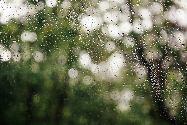 포토 JPG 주간 백그라운드 유리 사람없음 야외 빗방울 감성 국내포토 자연요소 컨셉 재질 비_날씨 파일형식