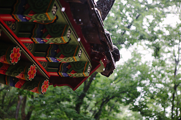 포토 JPG 주간 사람없음 야외 빗방울 처마 감성 기와지붕 산사 지붕처마 국내포토 자연요소 컨셉 지붕 기와 비_날씨 파일형식