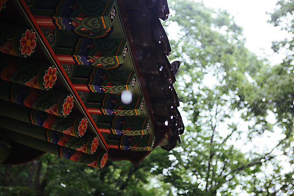 포토 JPG 주간 사람없음 야외 빗방울 처마 감성 기와지붕 산사 지붕처마 국내포토 자연요소 컨셉 지붕 기와 비_날씨 파일형식