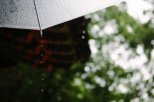 포토 JPG 주간 우산 사람없음 야외 빗방울 처마 감성 산사 지붕처마 국내포토 자연요소 컨셉 지붕 비_날씨 파일형식