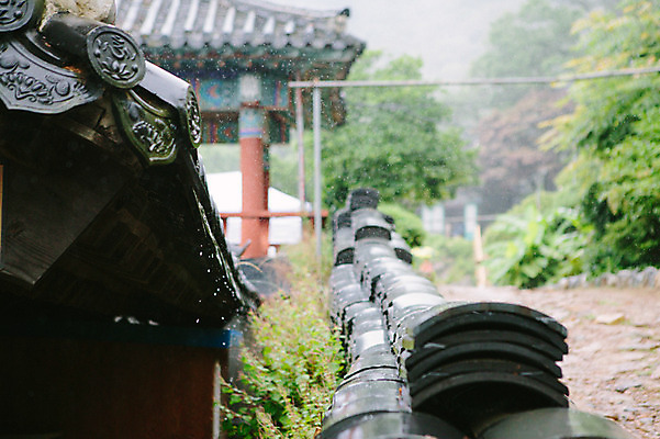 포토 JPG 주간 기와 사람없음 야외 비 감성 기와지붕 수종사 국내포토 자연요소 컨셉 지붕 날씨 한국 사찰 파일형식