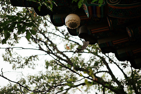 포토 JPG 주간 풍경 사람없음 야외 종 비 감성 기와지붕 풍경종 수종사 국내포토 자연요소 컨셉 지붕 날씨 한국 기와 사찰 파일형식