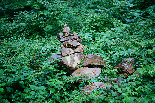 포토 JPG 주간 사람없음 야외 풀잎 비 석탑 숲 감성 국내포토 자연요소 컨셉 잎 날씨 탑 풀_식물 파일형식