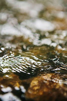 포토 JPG 주간 백그라운드 사람없음 야외 아웃포커스 물 비 개울 감성 양평 세미원 국내포토 자연요소 컨셉 날씨 촬영기법 강 수목원 경기도 파일형식