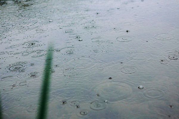 포토 JPG 주간 사람없음 야외 물 강 빗방울 감성 국내포토 자연요소 컨셉 비_날씨 파일형식