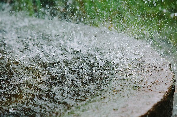 포토 JPG 주간 백그라운드 사람없음 야외 빗방울 감성 국내포토 자연요소 컨셉 비_날씨 파일형식