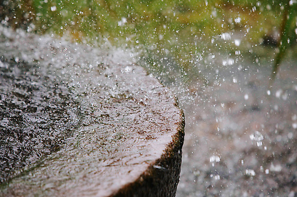 포토 JPG 주간 백그라운드 사람없음 야외 빗방울 감성 국내포토 자연요소 컨셉 비_날씨 파일형식
