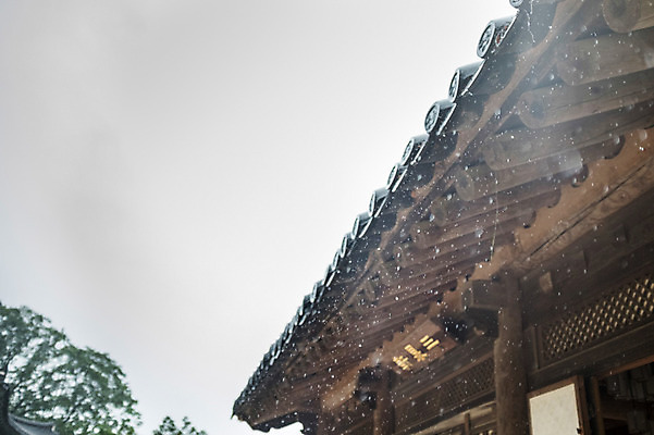 포토 JPG 주간 사람없음 야외 빗방울 기와지붕 수종사 국내포토 자연요소 지붕 한국 기와 사찰 비_날씨 파일형식