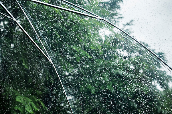 포토 JPG 주간 우산 사람없음 야외 빗방울 국내포토 자연요소 비_날씨 파일형식