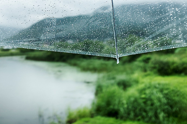 포토 JPG 주간 우산 사람없음 야외 아웃포커스 빗방울 국내포토 자연요소 촬영기법 비_날씨 파일형식
