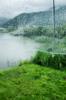 포토 JPG 주간 우산 사람없음 야외 아웃포커스 빗방울 국내포토 자연요소 촬영기법 비_날씨 파일형식