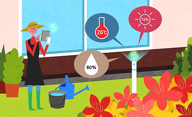 PSD 식물 여자 꽃 화분 일러스트 창문 한명 성인 스마트기기 태블릿 바구니 정원 물방울 스마트 원예 온도 원예용품 국내일러스트 1 생활용품 컨셉 사람 취미 전자제품 파일형식