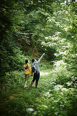포토 JPG 주간 전신 나무 커플 여자 남자 커플라이프 배낭 자연 성인 야외 두명 뒷모습 30대 손잡기 등산 한국인 가리킴 숲속 숲 가평 국내포토 자연요소 식물 라이프스타일 뷰포인트 가방 관계 모션 사람 동양인 손짓 장년 트래킹 생태계 경기도 파일형식