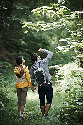 포토 JPG 주간 전신 나무 커플 여자 남자 커플라이프 배낭 자연 성인 야외 두명 뒷모습 30대 등산 한국인 올려보기 숲속 숲 가평 국내포토 자연요소 식물 라이프스타일 뷰포인트 가방 관계 모션 사람 동양인 장년 트래킹 생태계 경기도 파일형식