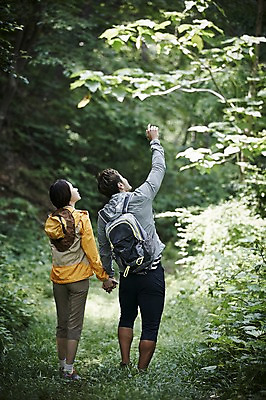 포토 JPG 주간 전신 나무 커플 여자 남자 커플라이프 배낭 자연 성인 야외 두명 뒷모습 30대 등산 한국인 올려보기 가리킴 숲속 숲 가평 국내포토 자연요소 식물 라이프스타일 뷰포인트 가방 관계 모션 사람 동양인 손짓 장년 트래킹 생태계 경기도 파일형식