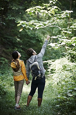 포토 JPG 주간 전신 나무 커플 여자 남자 커플라이프 배낭 자연 성인 야외 두명 뒷모습 30대 손잡기 등산 한국인 가리킴 숲속 숲 가평 국내포토 자연요소 식물 라이프스타일 뷰포인트 가방 관계 모션 사람 동양인 손짓 장년 트래킹 생태계 경기도 파일형식