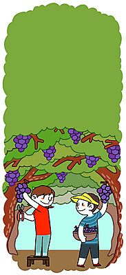 주간 PSD 여자 남자 일러스트 포도 가위 성인 두명 바구니 시골 포도밭 고향 포도따기 국내일러스트 자연요소 밭 과일 문구용품 사람 수확 파일형식