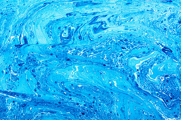 포토 JPG 스튜디오촬영 종이 컬러 하늘색 백그라운드 잉크 실내 미술 사람없음 물 파란색 페인트 물감 붓 얼룩 질감 마블링 국내포토 자연요소 문화예술 내부 미술도구 파일형식