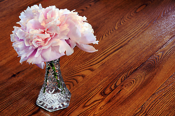 포토 JPG 해외이미지 식물 꽃잎 꽃 분홍색 꽃무늬 자연 탁자 사람없음 목재 물 갈색 꽃병 벚꽃 흰색 큼 매듭 정맥 작약 카피스페이스 해외202004 해외포토 자연요소 나무 컬러 가구 무늬 재료 공백 크기 생태계 혈관 파일형식 이미지허브