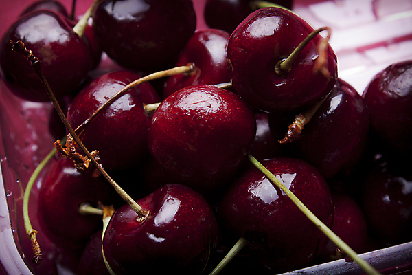 포토 JPG 해외이미지 식물 구름 계절 열매 음식 빵 줄기 백그라운드 십자가 잎 2 밭 농업 과일 부분 자연 하늘 디저트 건강 옥수수 씨앗 풍경 사람없음 빨간색 여름 파란색 농작물 태양 농장 노란색 환경 일몰 수확 가을 흰색 시골 신선 체리 달콤 맛 상품 낟알 땅 자르기 밀 상쾌 유기농 날것 슬라이스 보리 덩어리 내추럴 고립 과육 숙성 채식주의자 세련 해외202004 해외포토 자연요소 웰빙 감정 산업 컬러 컨셉 모션 곡류 노을 생태계 채식 파일형식 이미지허브