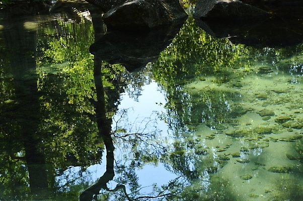 포토 JPG 해외이미지 나무 식물 계절 공원 호수 백그라운드 잎 패턴 자연 하늘 표면 아침 날씨 추상 휴식 그림자 풍경 사람없음 야외 초록색 물 여름 파란색 강 반사 평화 환경 침묵 고요 일몰 봄 거울 나뭇가지 연못 숲 버리기 질감 지역 내추럴 블러 잔물결 해외202004 해외포토 주간 자연요소 공공시설 물결 컬러 컨셉 무늬 모션 노을 소리 생태계 파일형식 이미지허브