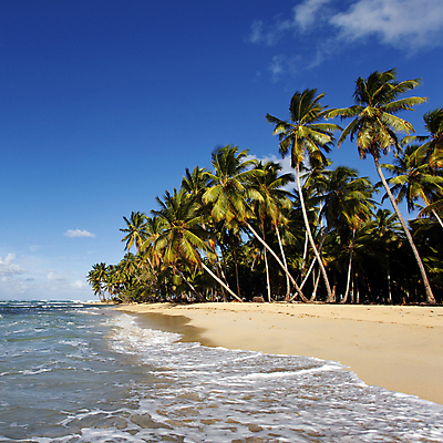 포토 JPG 해외이미지 나무 물결 모래 파도 바다 섬 여행 휴가 열대 손바닥 사람없음 꿈 천국 공화국 파라다이스 해외202004 해외포토 식물 손 나라 파일형식 이미지허브