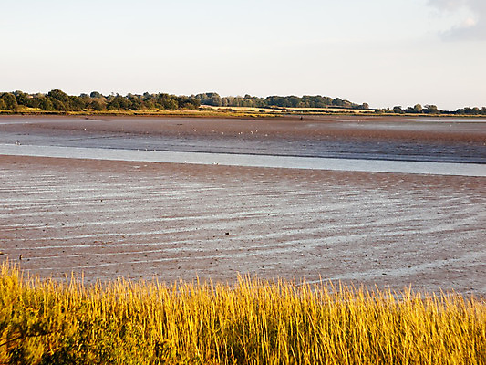 포토 JPG 해외이미지 구름 바다 여행 패턴 자연 조류 하늘 휴가 잉글랜드 풍경 사람없음 야외 물 여름 파란색 강 태양 환경 일몰 젖음 조약돌 보트 해조류 분위기 균열 플랫 땅 썰물 질감 냄새 먼지 장면 진흙 해일 수평선 해외202004 해외포토 자연요소 동물 계절 컬러 컨셉 무늬 배_교통 모션 영국 노을 돌_바위 해양식물 자연재해 생태계 파일형식 이미지허브