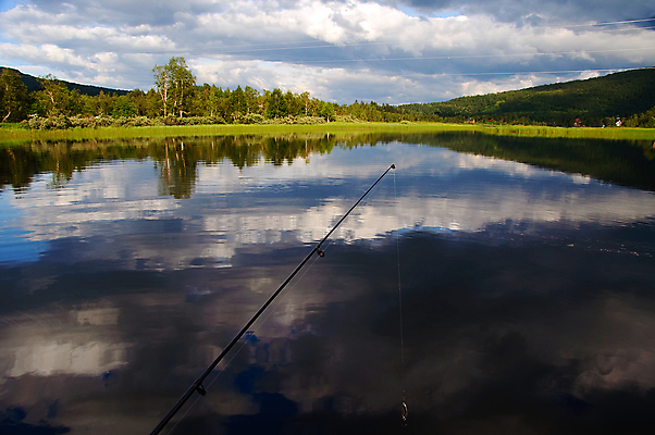 포토 JPG 해외이미지 구름 호수 야생동물 자연 낚시 산 노르웨이 갈대 풍경 사람없음 물 반사 어둠 침묵 거울 신선 저녁 숲 민물 해외202004 해외포토 자연요소 식물 동물 유럽 레저 소리 야간 생태계 파일형식 이미지허브